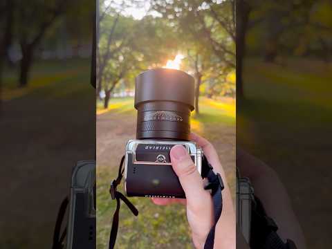 Hasselblad 907x CFV 100C