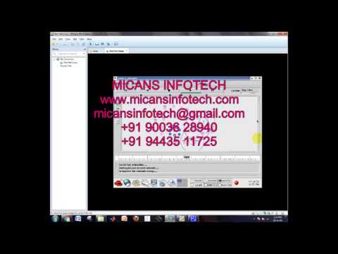 Secret Common Randomness from Routing Metadata in Ad-Hoc Networks