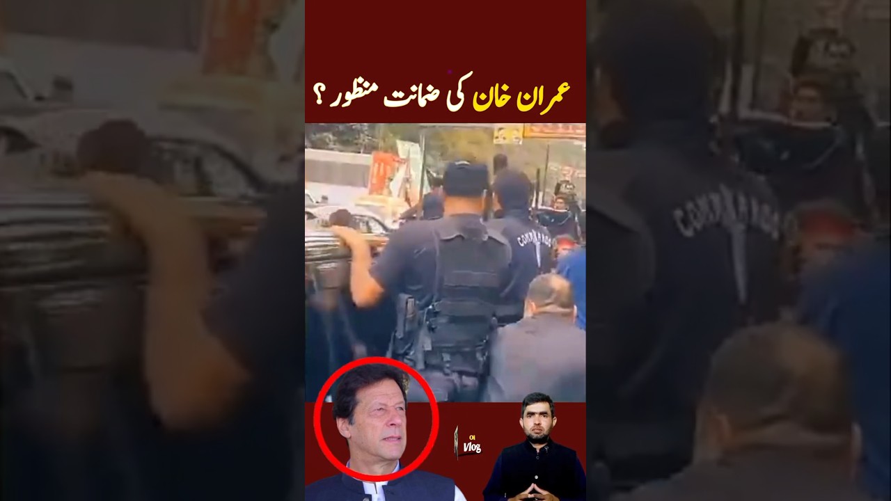 Former Prime Minister Imran Khan's bail granted? #imrankhan #pti #shorts
