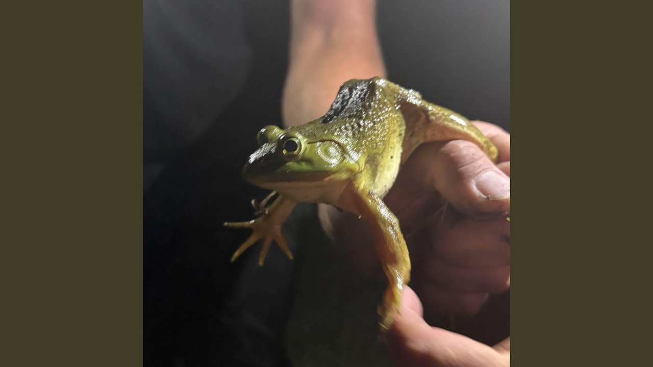 Sudbath - Collide (2025) 🎶