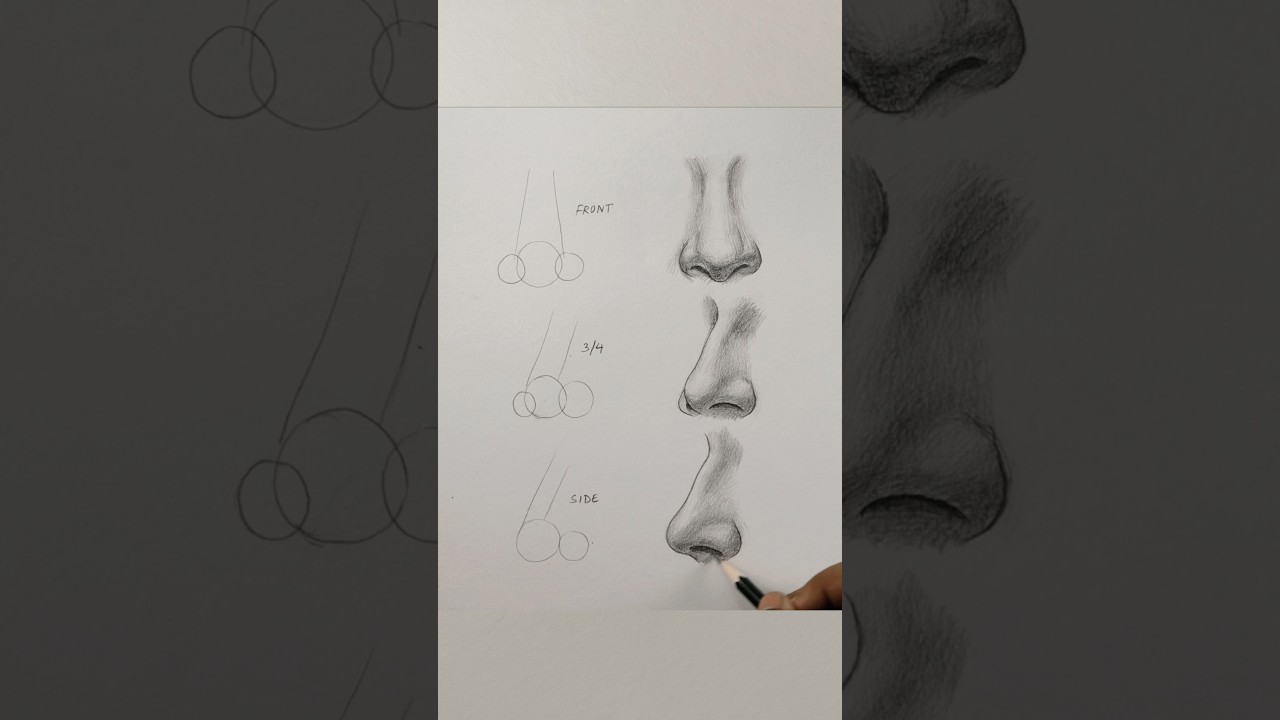 Simple Steps to Draw a Nose βπ»
