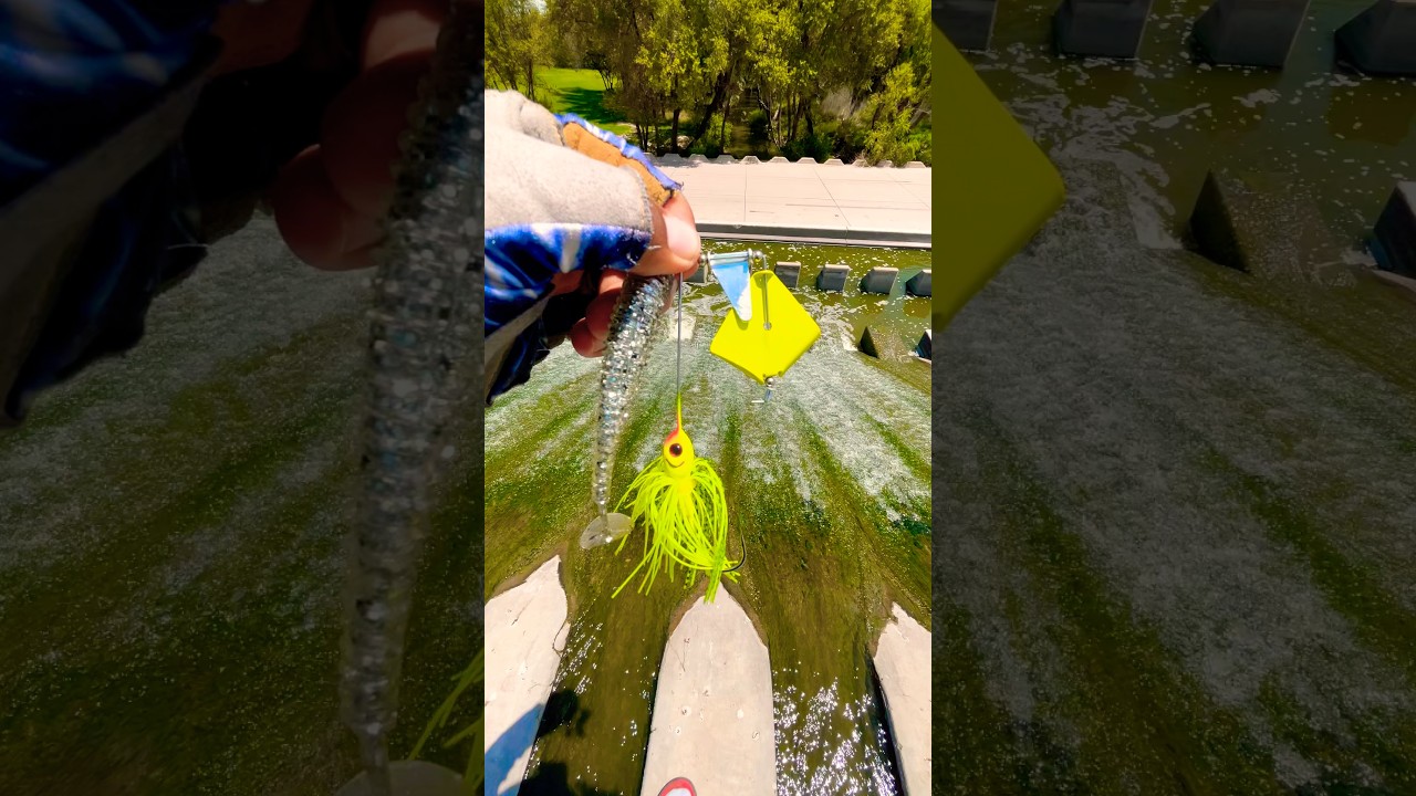 Buzzbait & Trailer Setup Tips for Bass Fishing 🎣