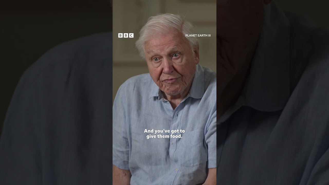Sir David Attenborough knows exactly who's boss in this Bali temple... π