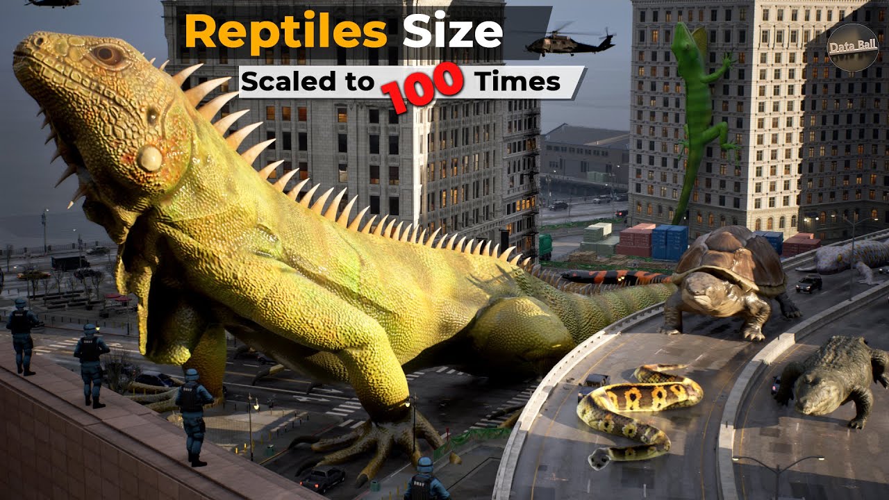 Reptiles 100x Bigger: Imaginary Size Comparison π¦