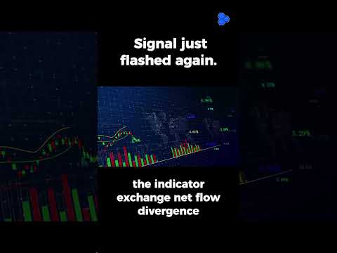 The AI Model That Predicted Bitcoin’s Top