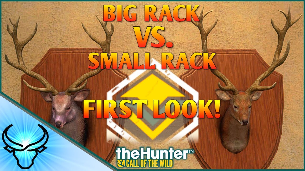 BIG RACK & SMALL RACK SIKA DEER! Comparing Sika Deer Racks | Call of the Wild Te Awaroa