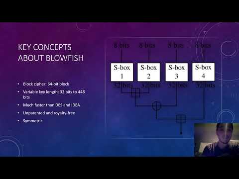 Blowfish Simple Explanation