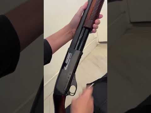 Calibre 12, Shotgun Raiz 🔫 #shorts