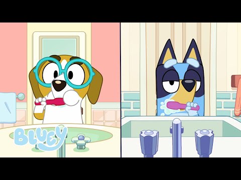 Rencontre surprise | Les Petites Histoires de Bluey | Bluey Français Chaîne Officielle