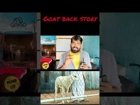 Gorre puranam gorre katha 😜😜😜 #shorts  #telugumovies #trending