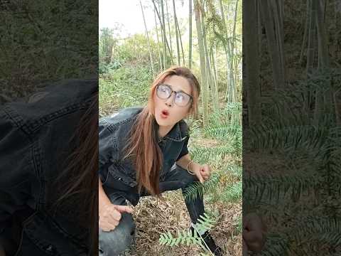 Mau ketawa takut dosa video lucu bikin ngakak hiburan warga+62 viral video funny videos funny shorts