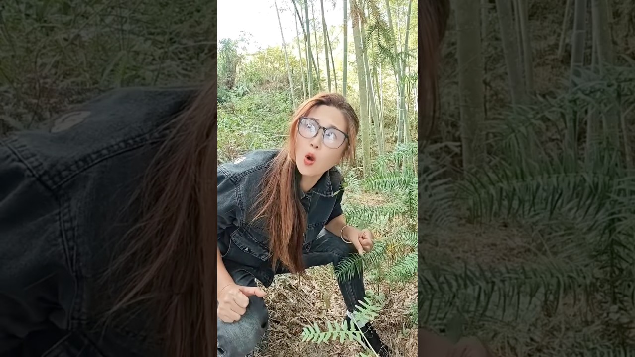 Video Lucu & Menghibur: Ketawa Takut Dosa 😂 Viral dan Bikin Ngakak!