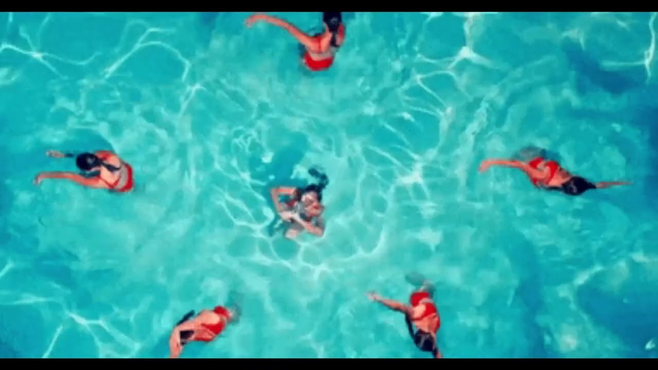 Dire Straits' Unique Hit: Twisting By The Pool 🎶