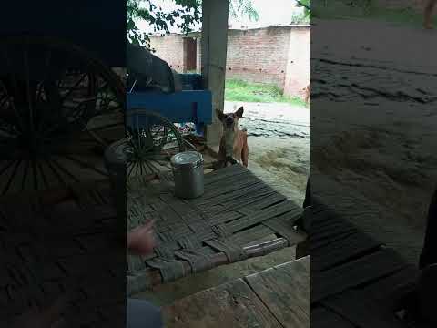 #technology #funny #automobile #Adarsh