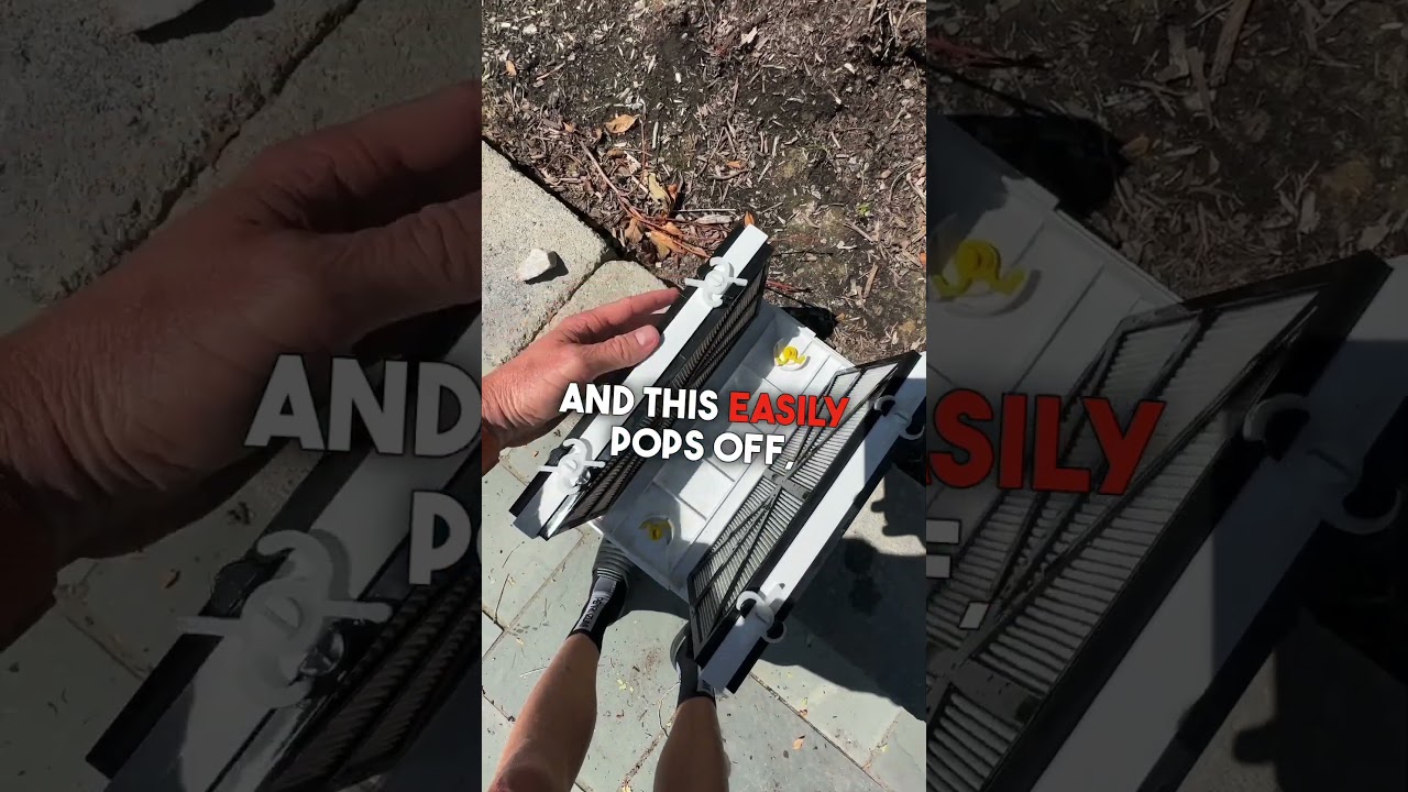 Dolphin Premier Pool Robot Vacuum Review 2023 🏊‍♂️