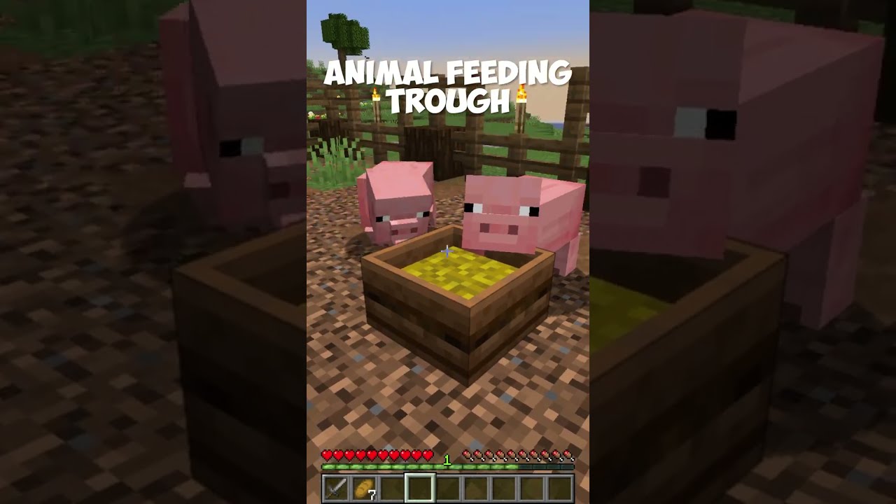 3 Top 3 Must-Have Minecraft 1.19 Mods! 🔧