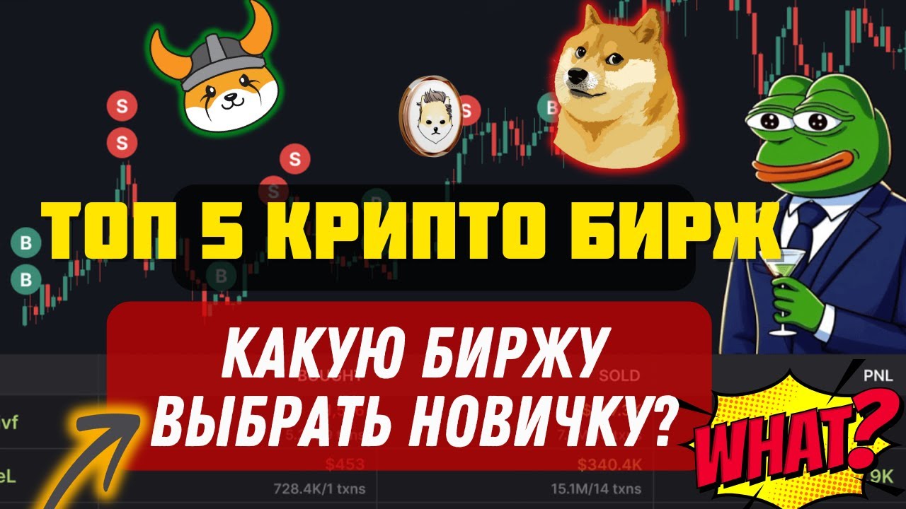 Криптовалюта для новичков с телефона: топ 5 бирж