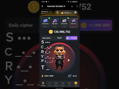 4 August Hamster Daily Cipher Code||