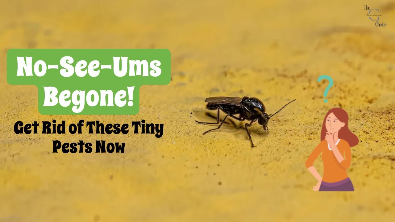 No-See-Ums Begone! How to Get Rid of These Tiny Pests for Good | The Guardians Choice