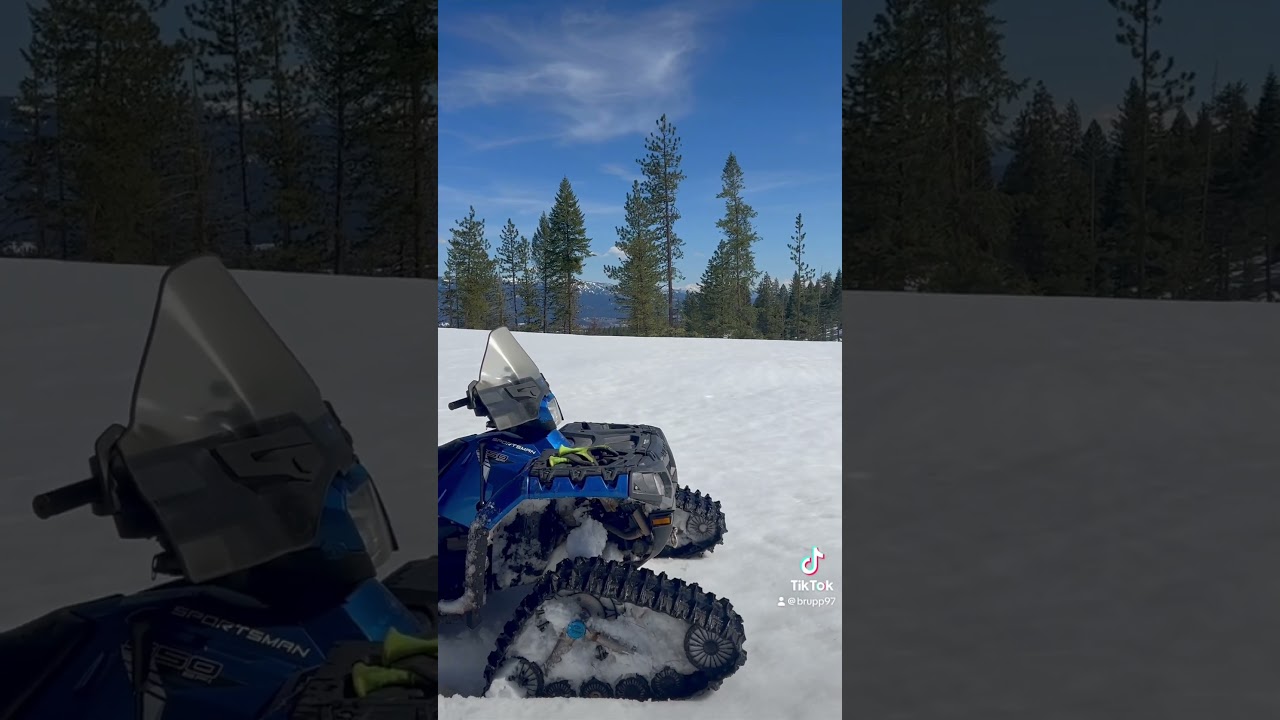 Sustainable Forest Products for a Greener Future π±