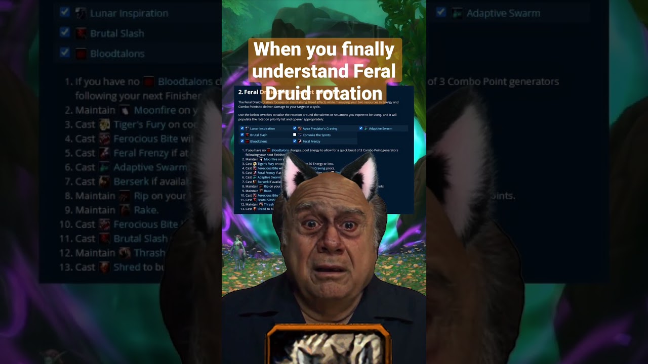 Mastering the Feral Druid Rotation 🐾