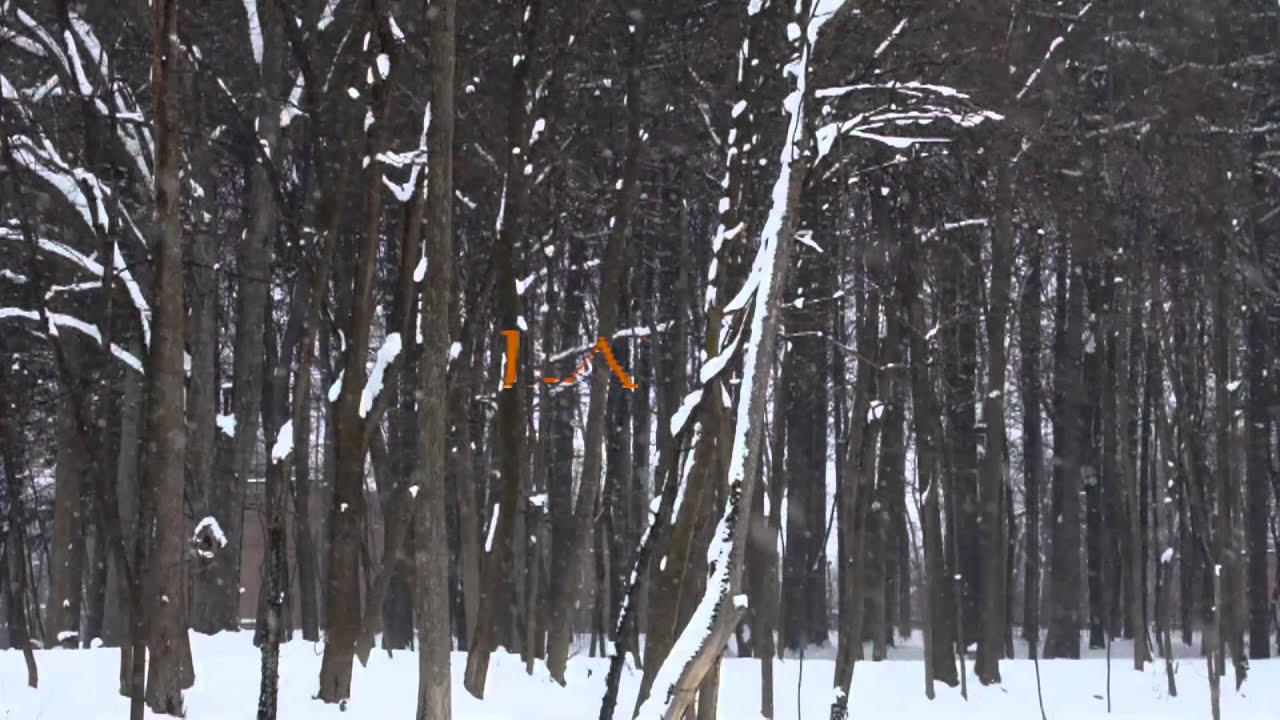 Allen / Lande - Lady of Winter Official Lyric Video ❄️