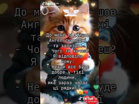 #романтическаямузыка #billieeilishpiano #kitten #coversong #horse #love #музыка #люблю