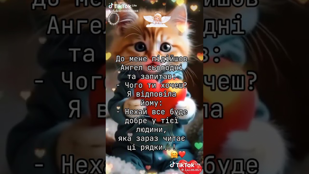 πΉ Romantic Piano Covers by Billie Eilish with Cute Kittens & Horses