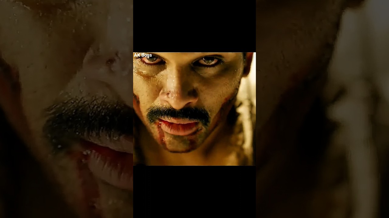 Sarrainodu 4K Ultra HD Hindi Dubbed 😎