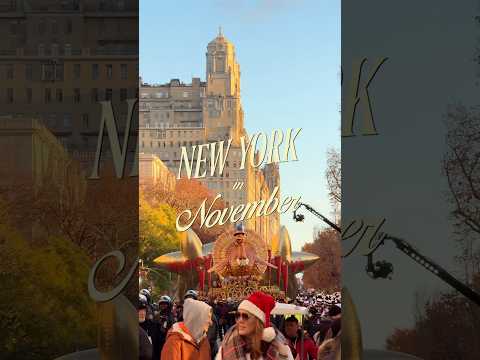 is this ACTUALLY New York City in November?? 🤔