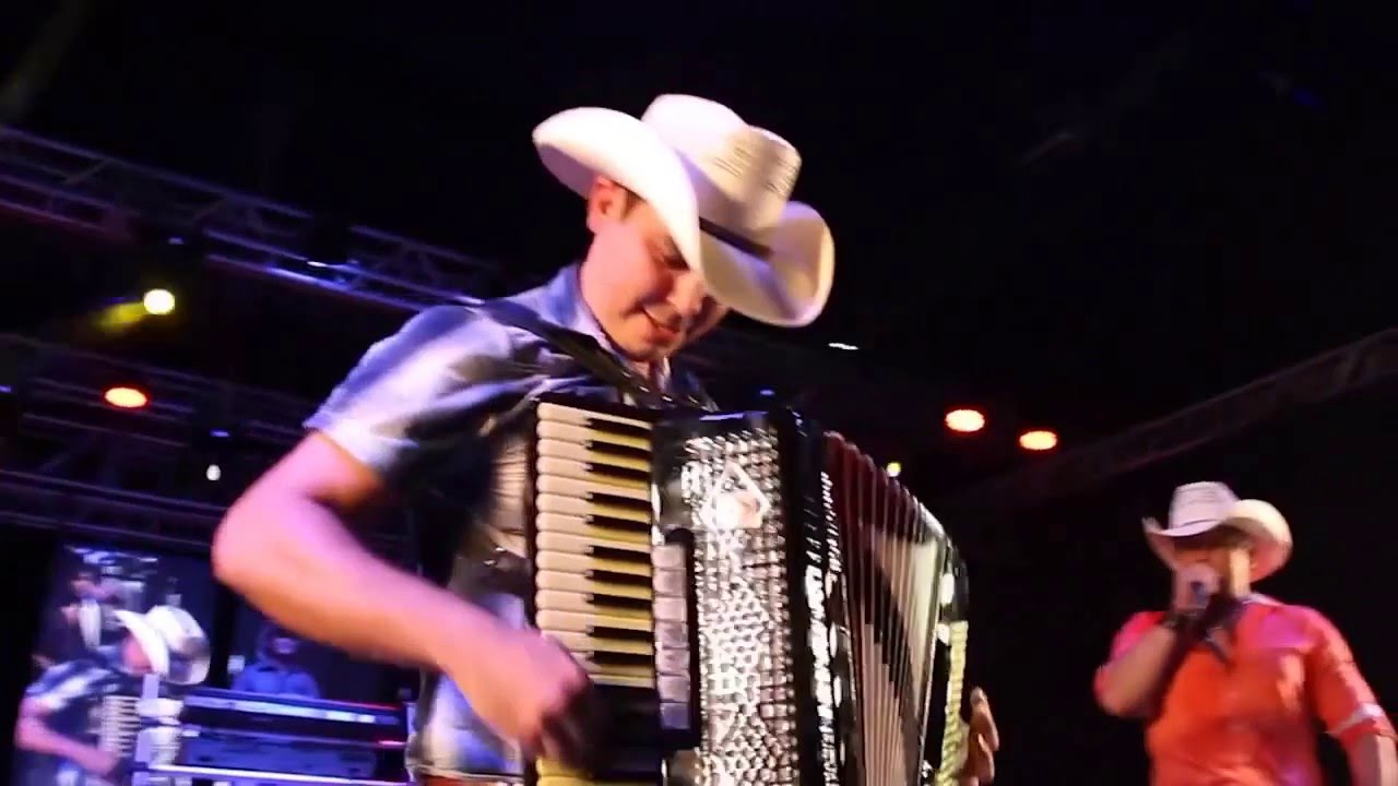 Alemão do Forró - Bye Bye Tristeza 🎶