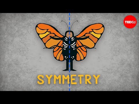 The science of symmetry - Colm Kelleher