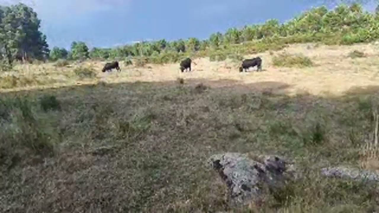 Otra Tormenta - Únete para ventajas exclusivas 🌩️