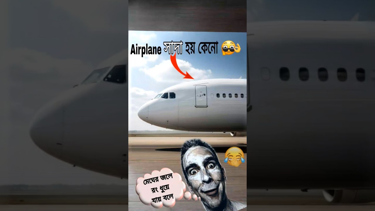 Why Are Most Airplanes White? ✈️