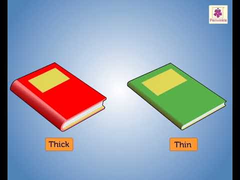 Thick & Thin Opposites | Grade 1 Math 📚