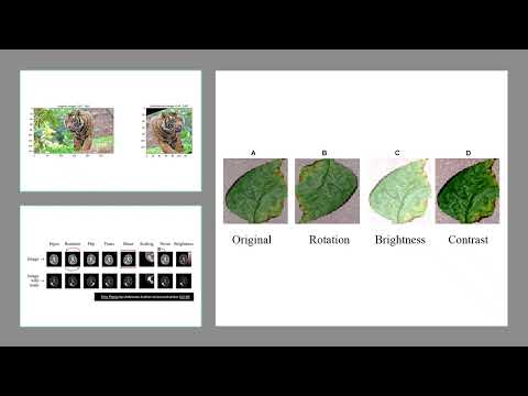 Data Augmentation Explained | Boost Deep Learning Performance with Simple Tricks!