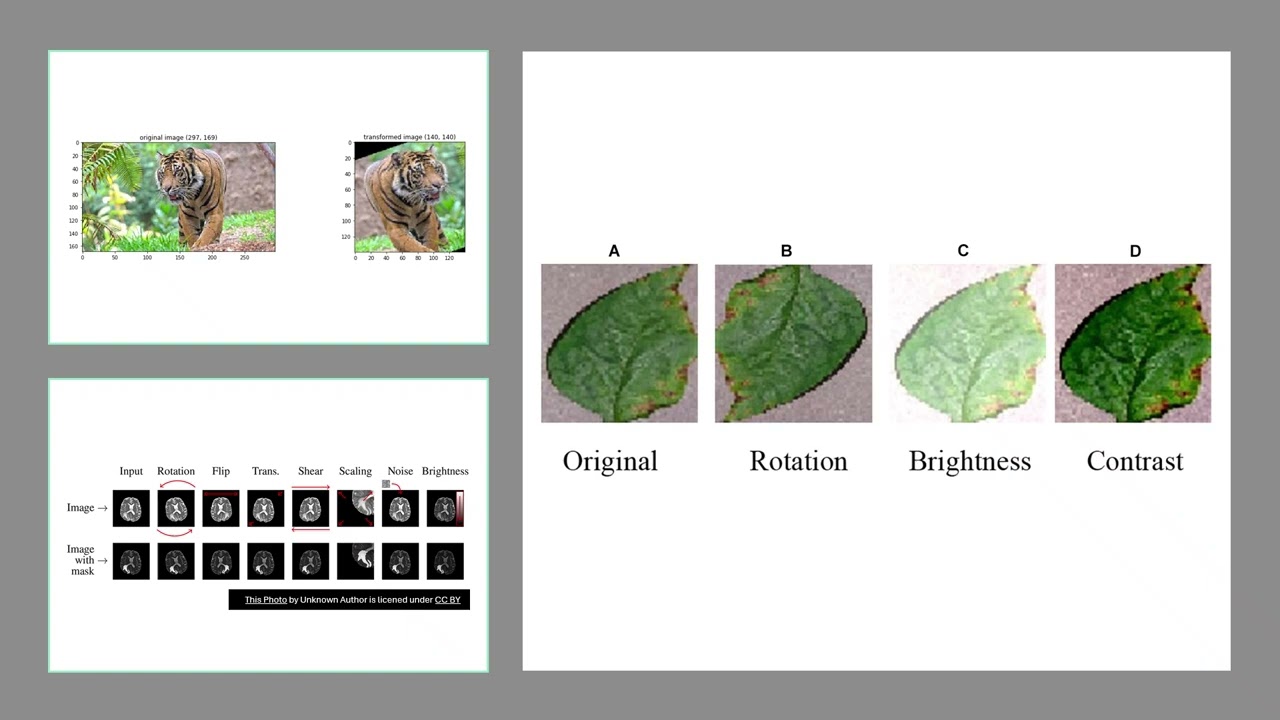 Data Augmentation Techniques to Enhance Deep Learning Performance