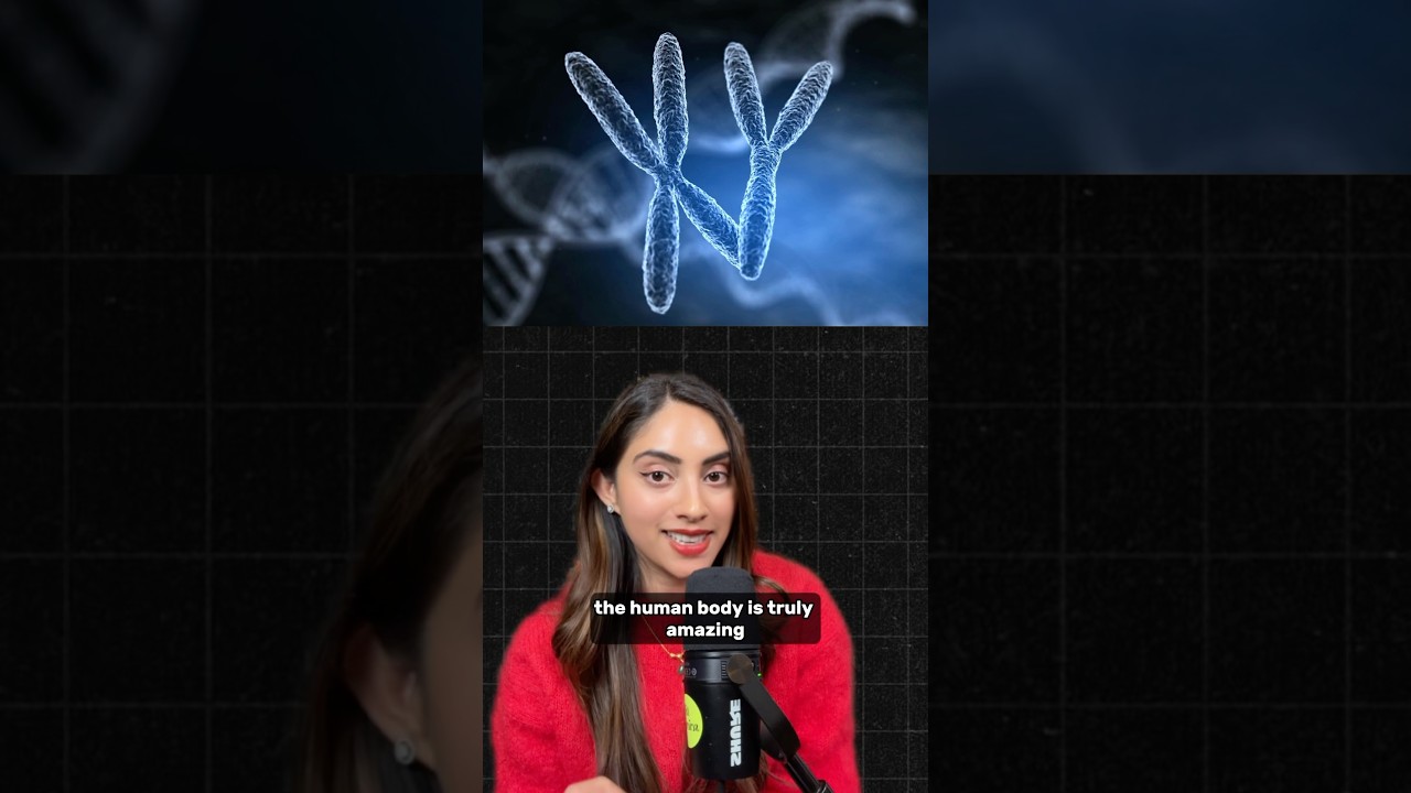 Shocking Discovery: Woman Has Different DNA in Her Blood and Cells 🧬