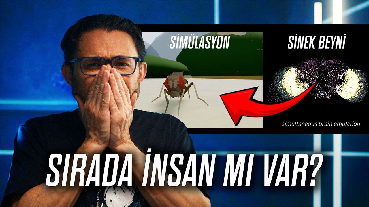Sinek Beyni Bilgisayara Yüklendi ve Çalıştı 🧠