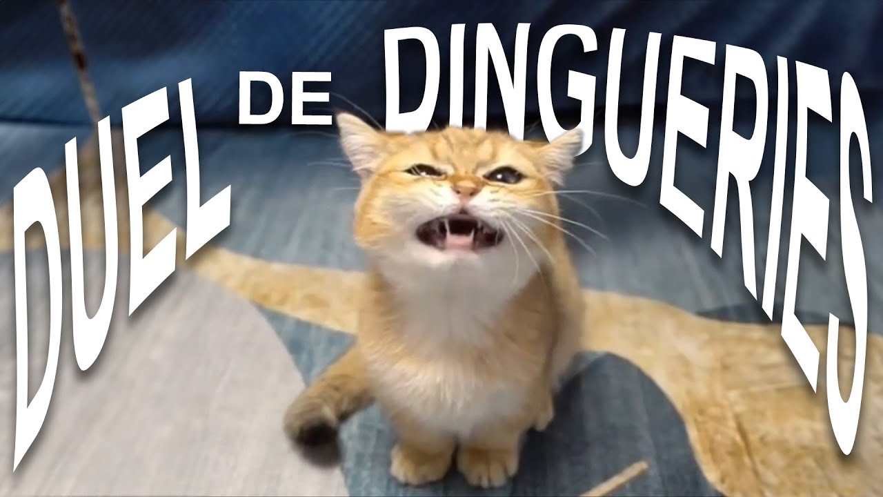 Duel de Dingueries en Direct đ„