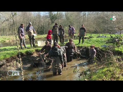 Présidentielle 2022 :  à la rencontre des primo-votants  - Reportage #cdanslair 06.04.2022