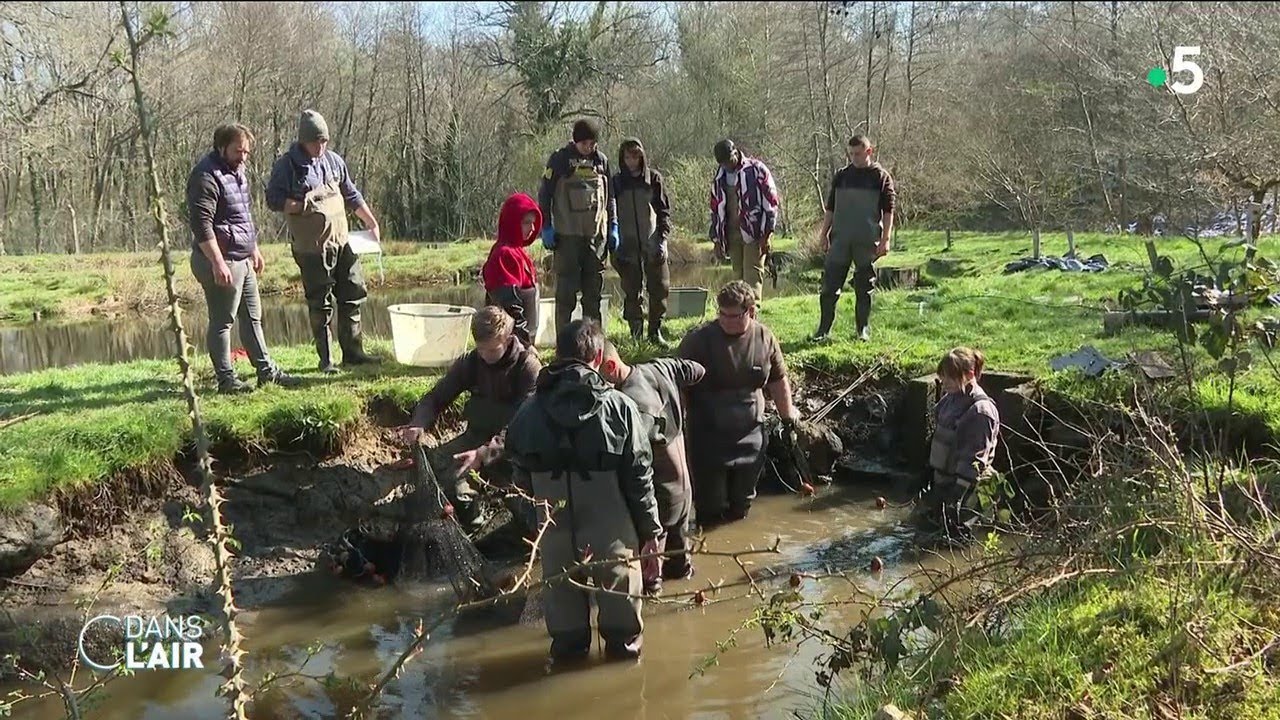 Présidentielle 2022 : Rencontre avec les primo-votants - Reportage #cdanslair 06.04.2022