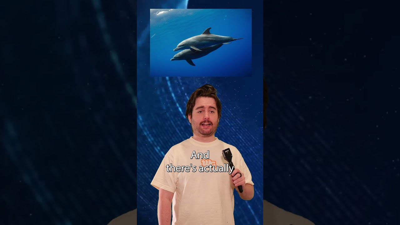 Amazing Animal Facts 🐾