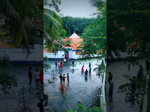 Monsoon vibe in aruvikkal temple#shorts #shortsvideo