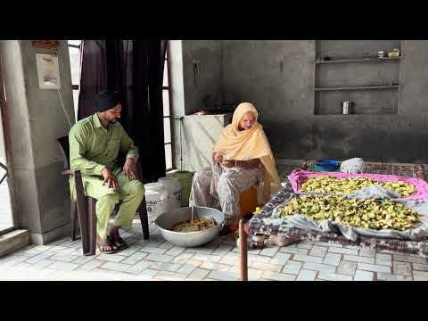 ਅੰਬ ਦਾ ਅਚਾਰ ll punjabi vlog 2025 ll pendu vlog Mansa ll@Penduvlogsmansa