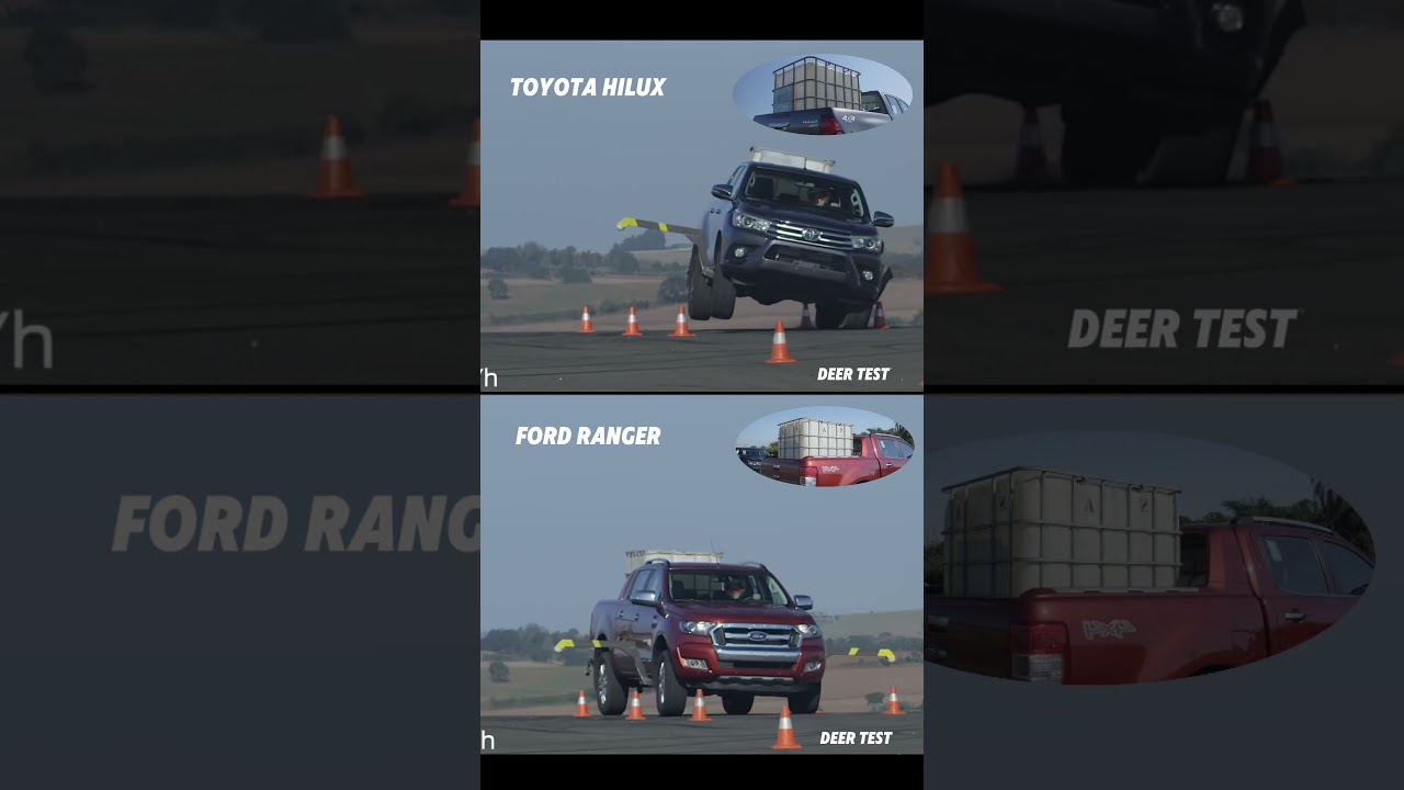 Toyota Hilux vs Ford Ranger Deer Test 🦌
