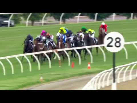 Australian Guineas 2021|| LUNAR FOX || FLEMINGTON GUINEAS - Kennedy Australian Guineas 2021||