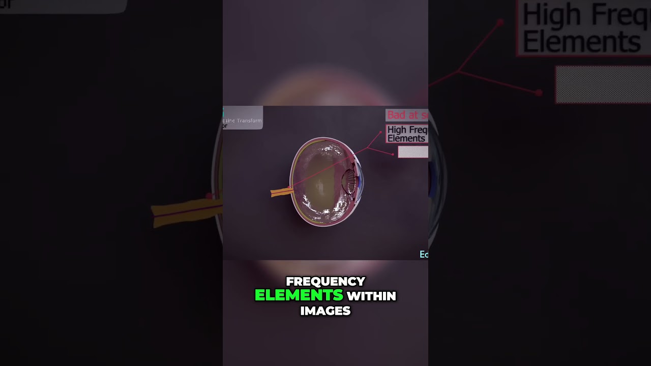 Branch Education: How JPEG Compresses Images Efficiently 📸