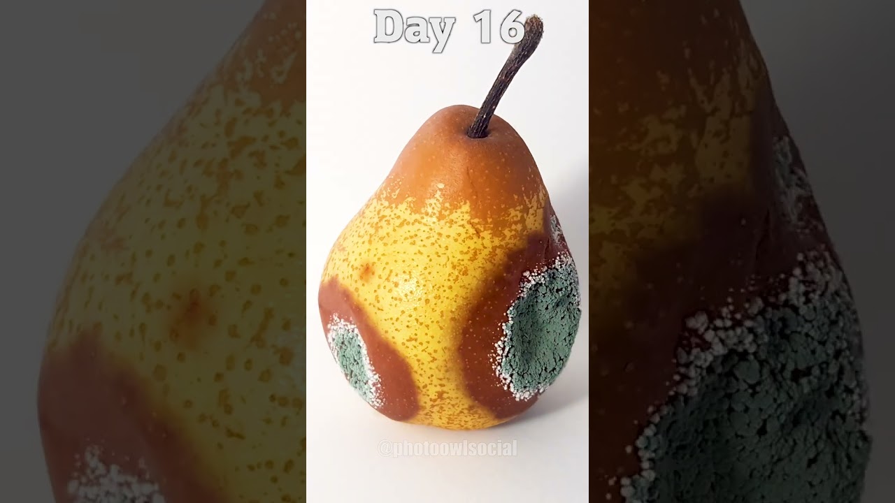 Pear Time Lapse in 10 Seconds 🍐