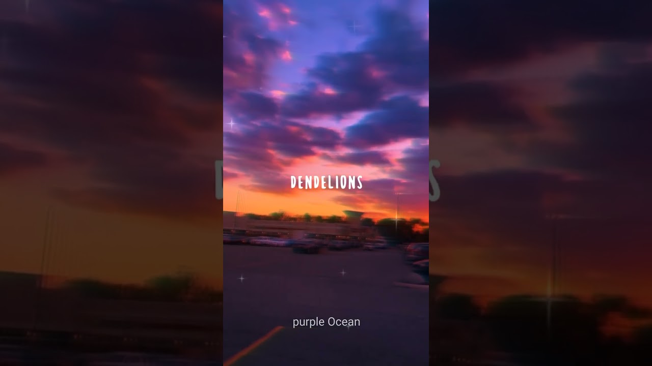 Beautiful Dandelions Remix 🌼 | Short & Inspiring